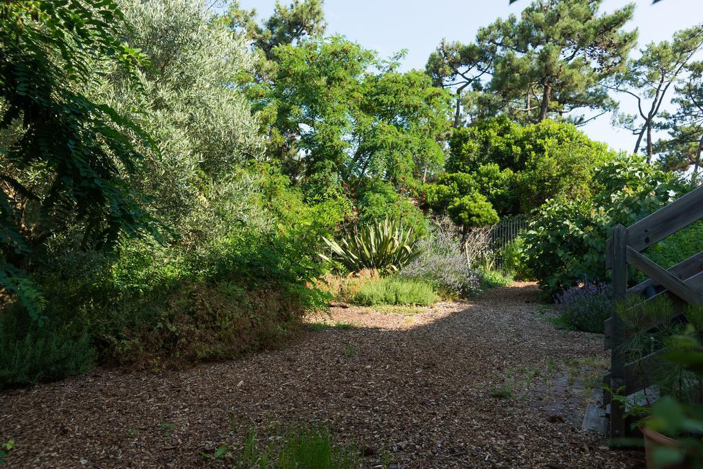 Le Lodge Du Cap Ferret Lège-Cap-Ferret Dış mekan fotoğraf